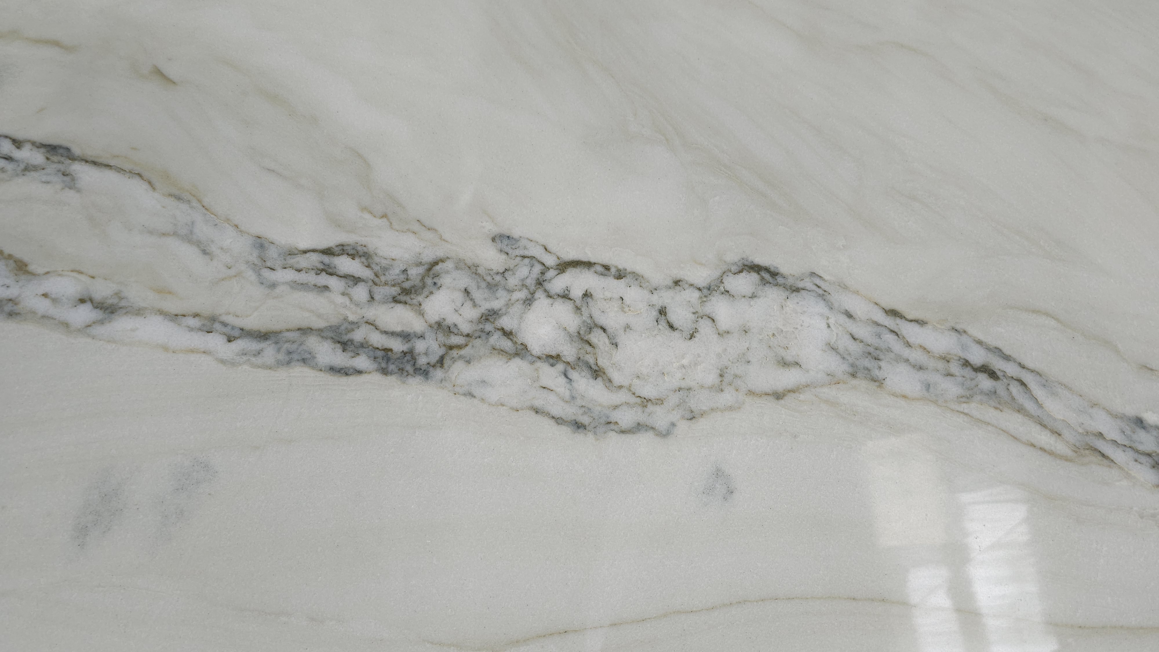 Premium Wood Panel - Oak