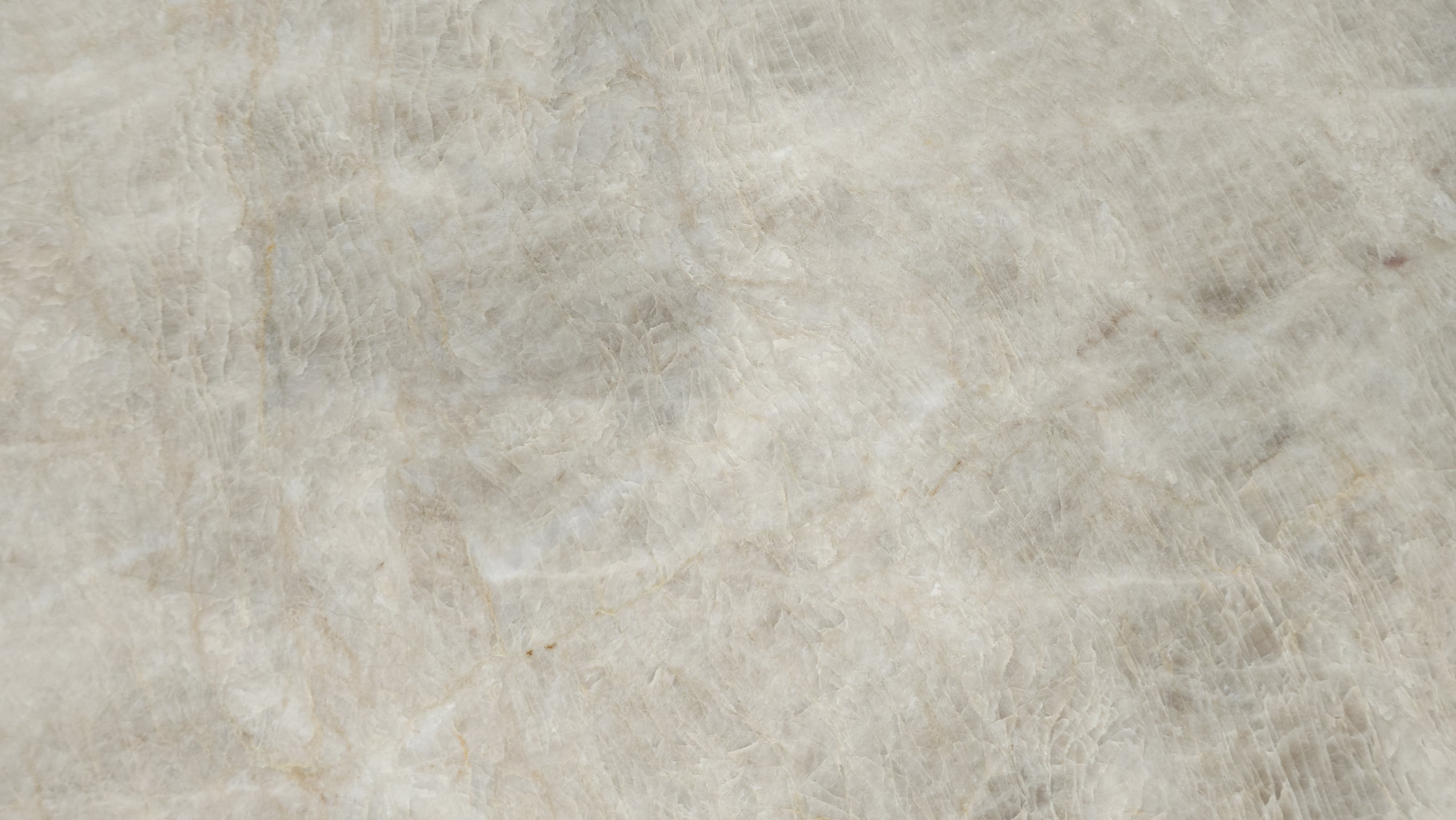 Premium Wood Panel - Oak