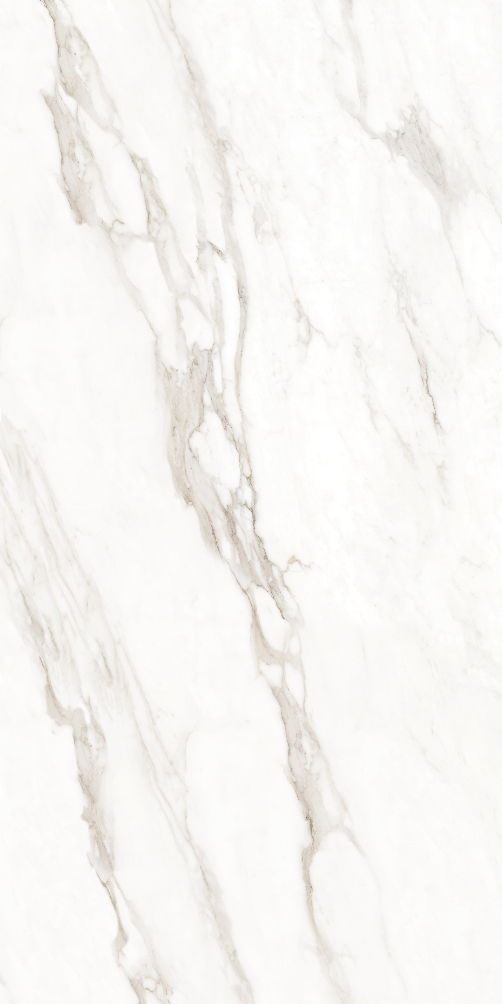 Premium Wood Panel - Oak