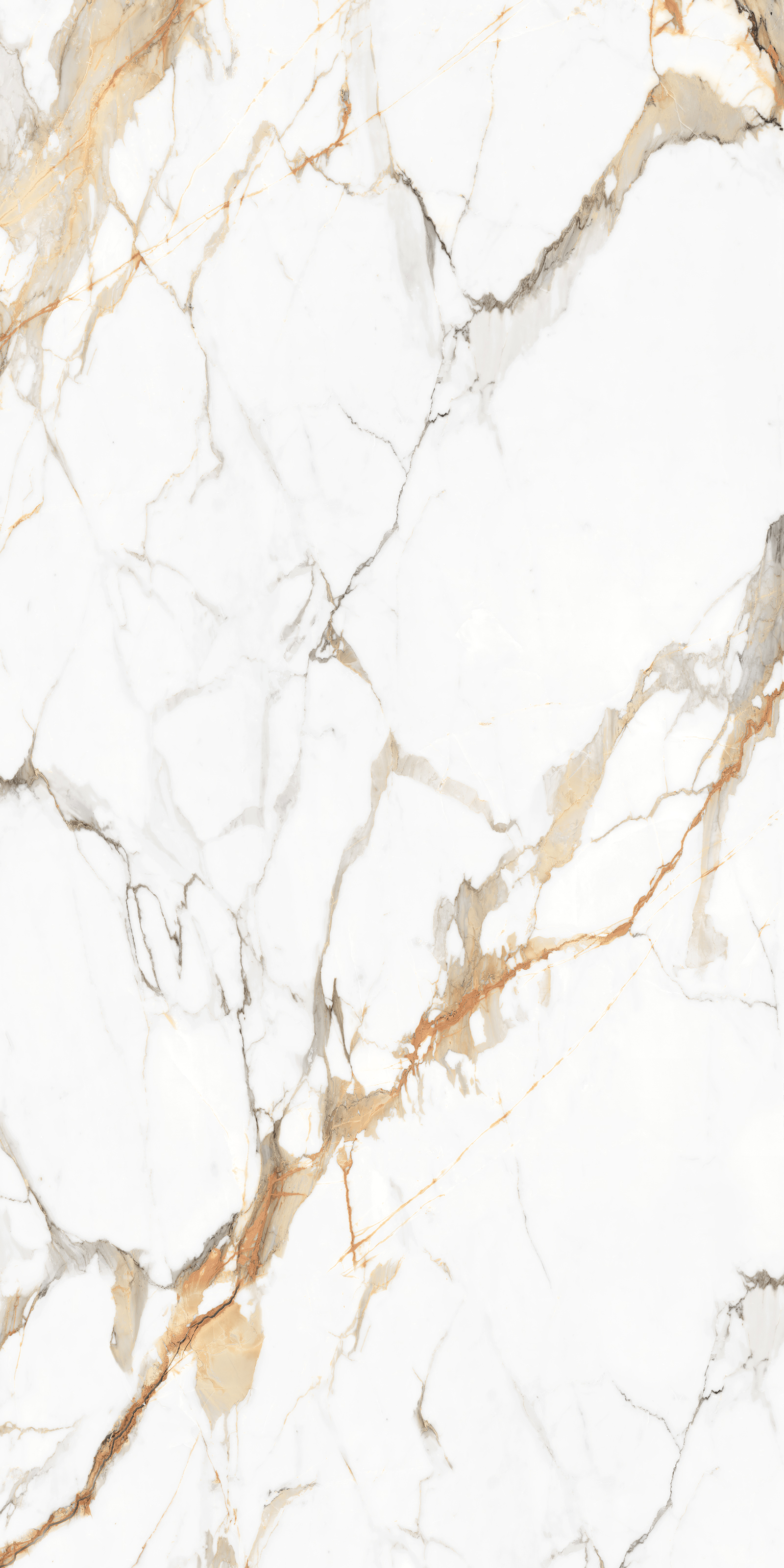 Premium Wood Panel - Oak