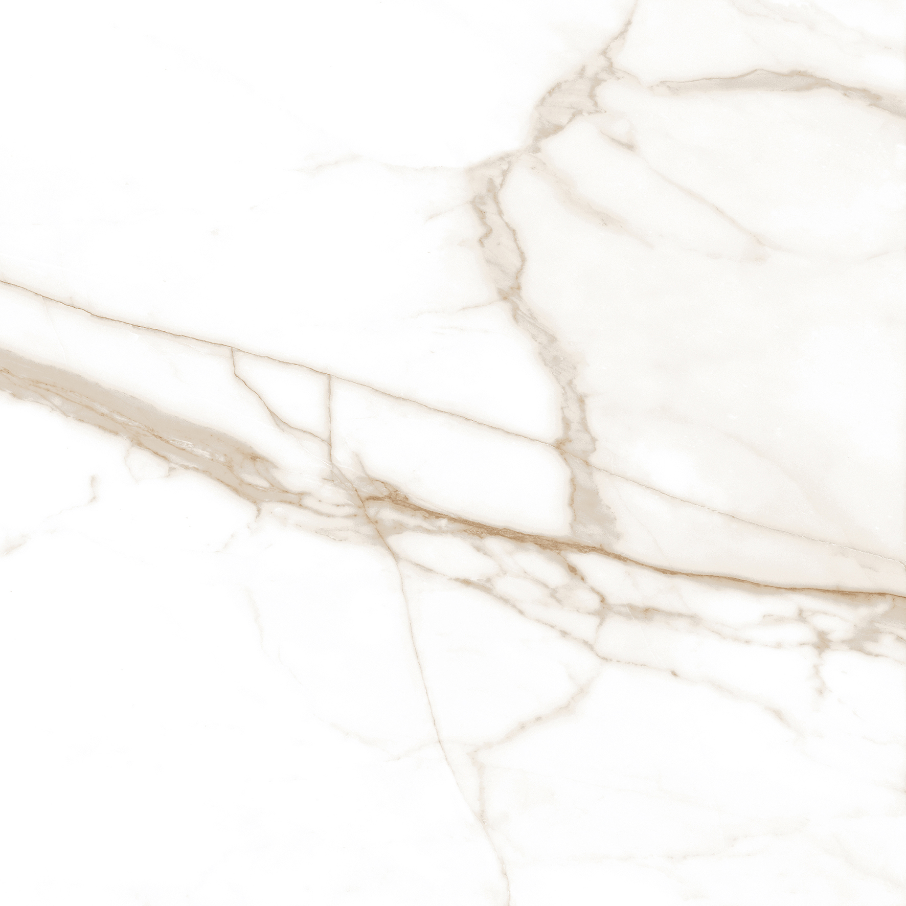 Premium Wood Panel - Oak