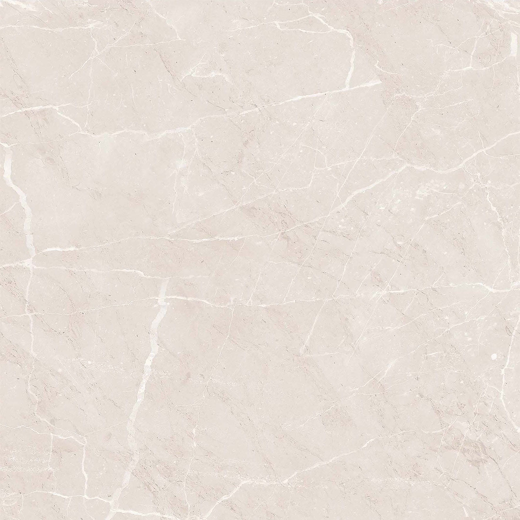 Premium Wood Panel - Oak