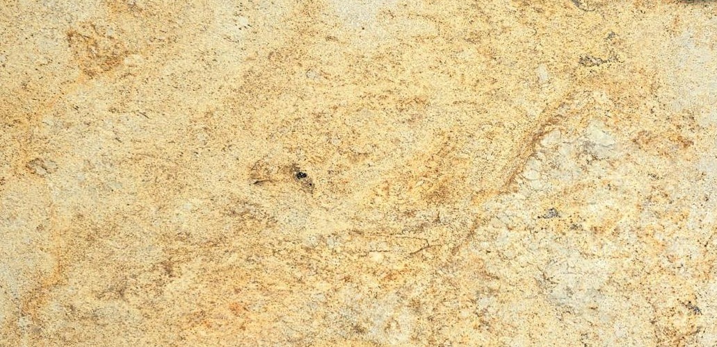 Premium Wood Panel - Oak