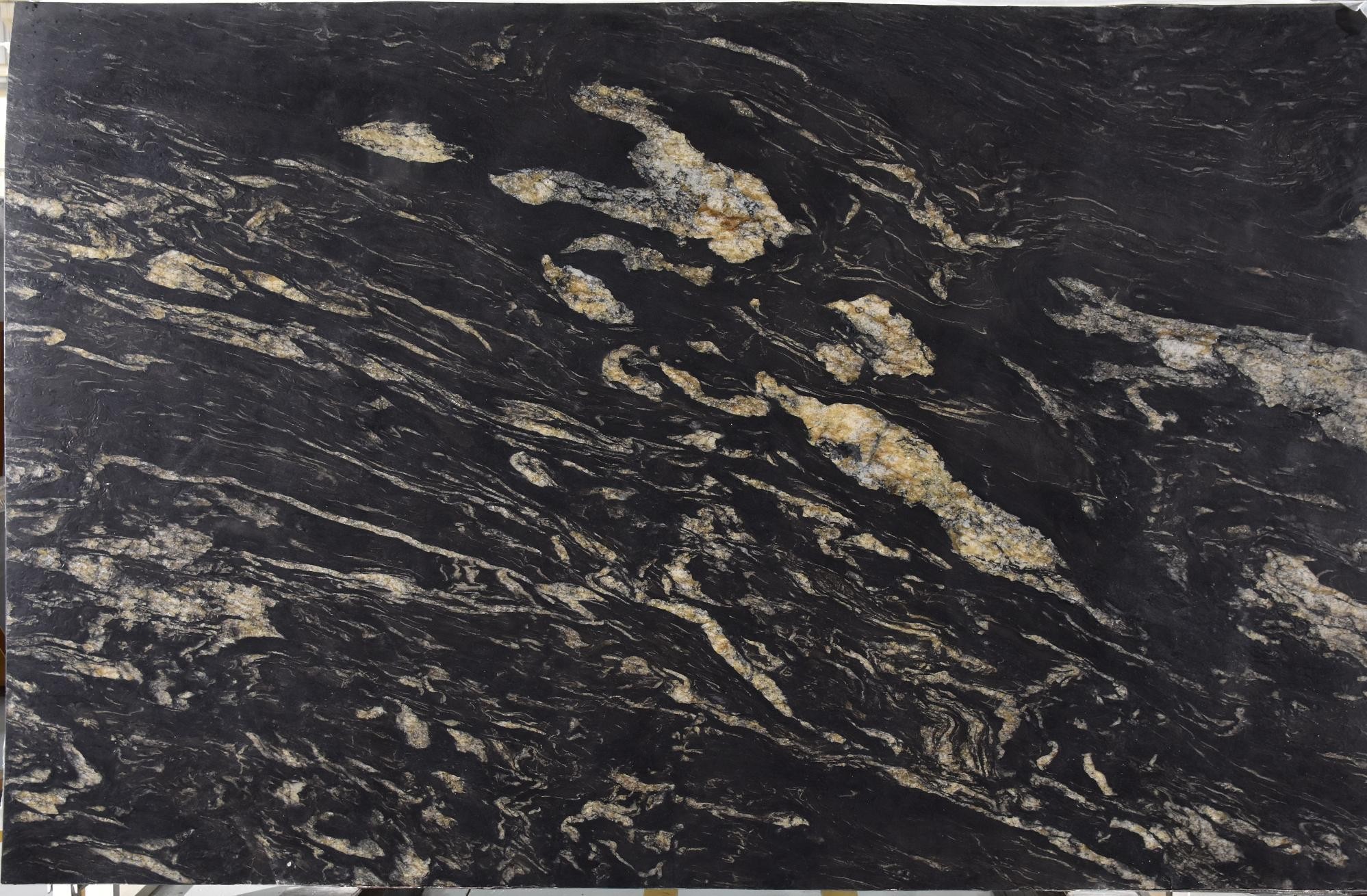 Premium Wood Panel - Oak