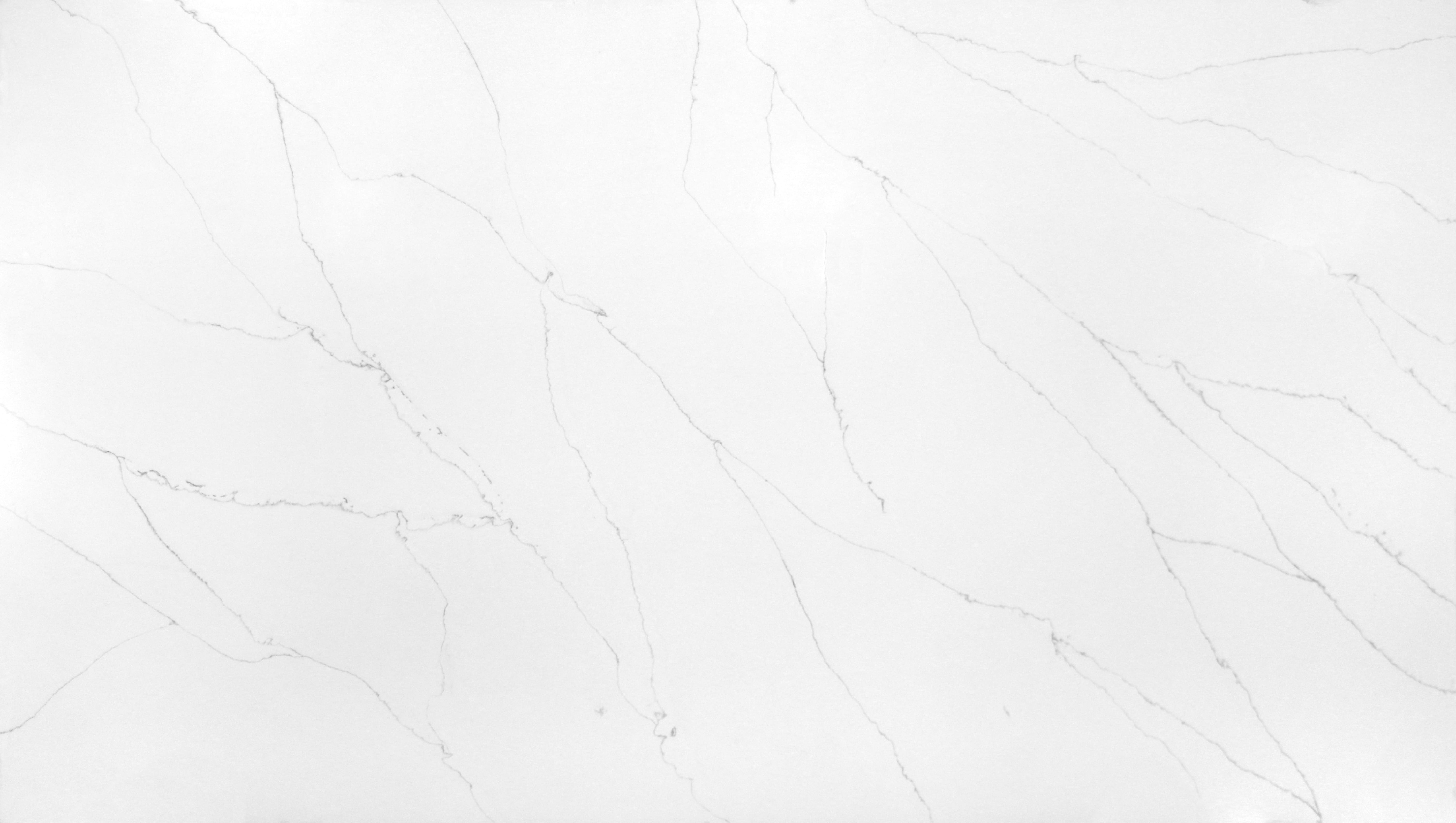 Premium Wood Panel - Oak