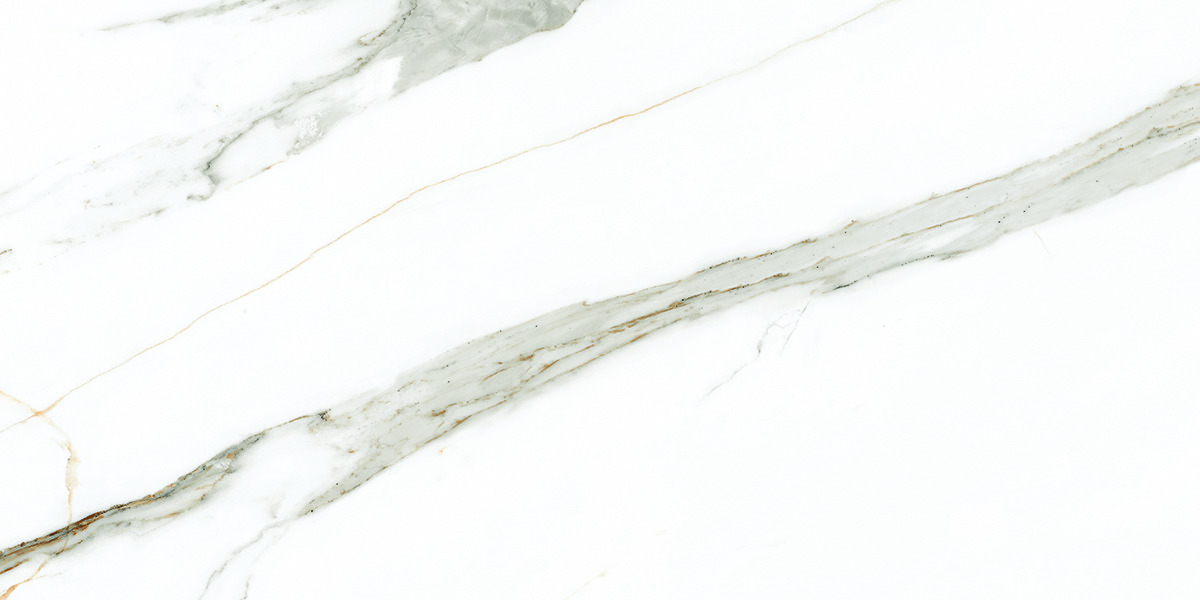 Premium Wood Panel - Oak