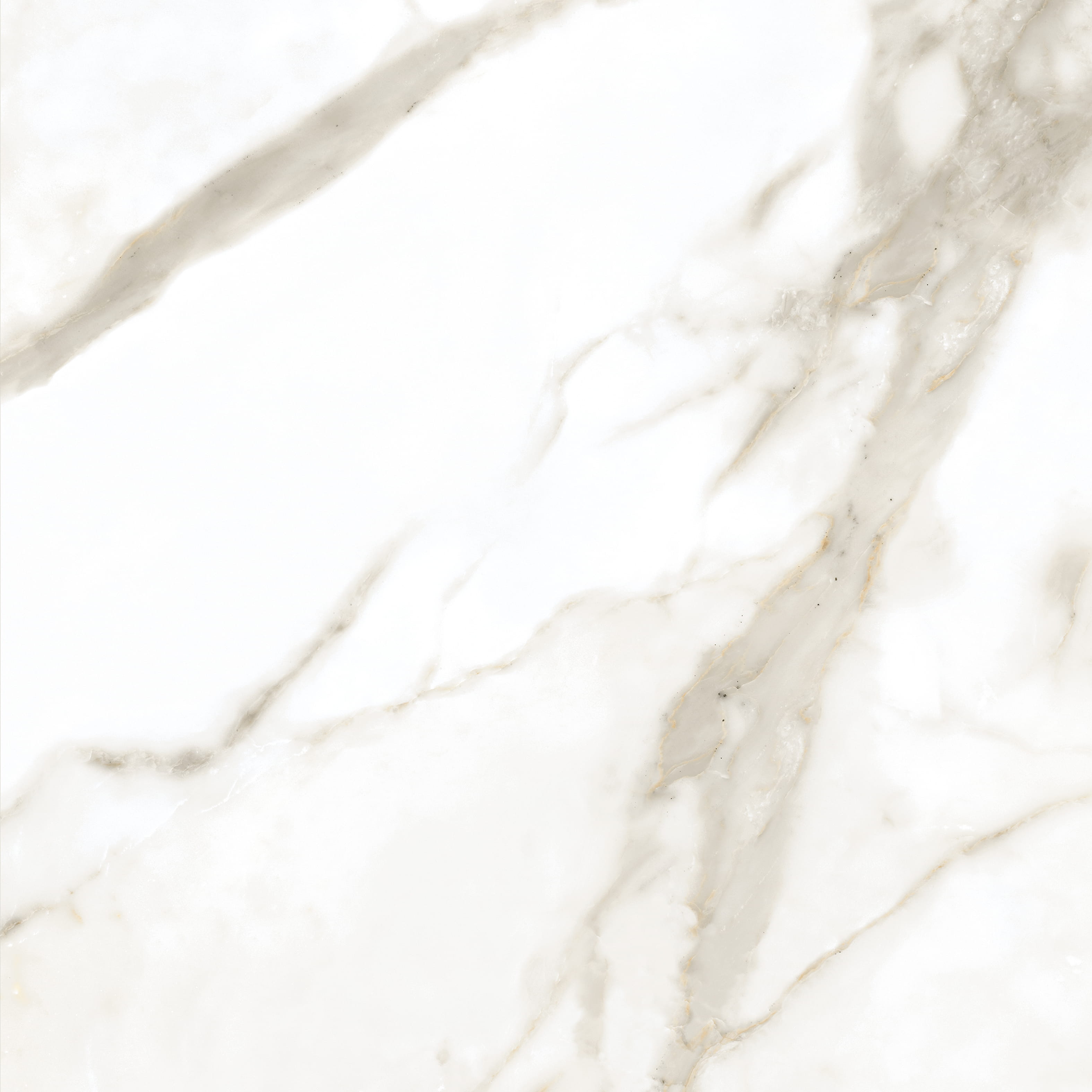 Premium Wood Panel - Oak