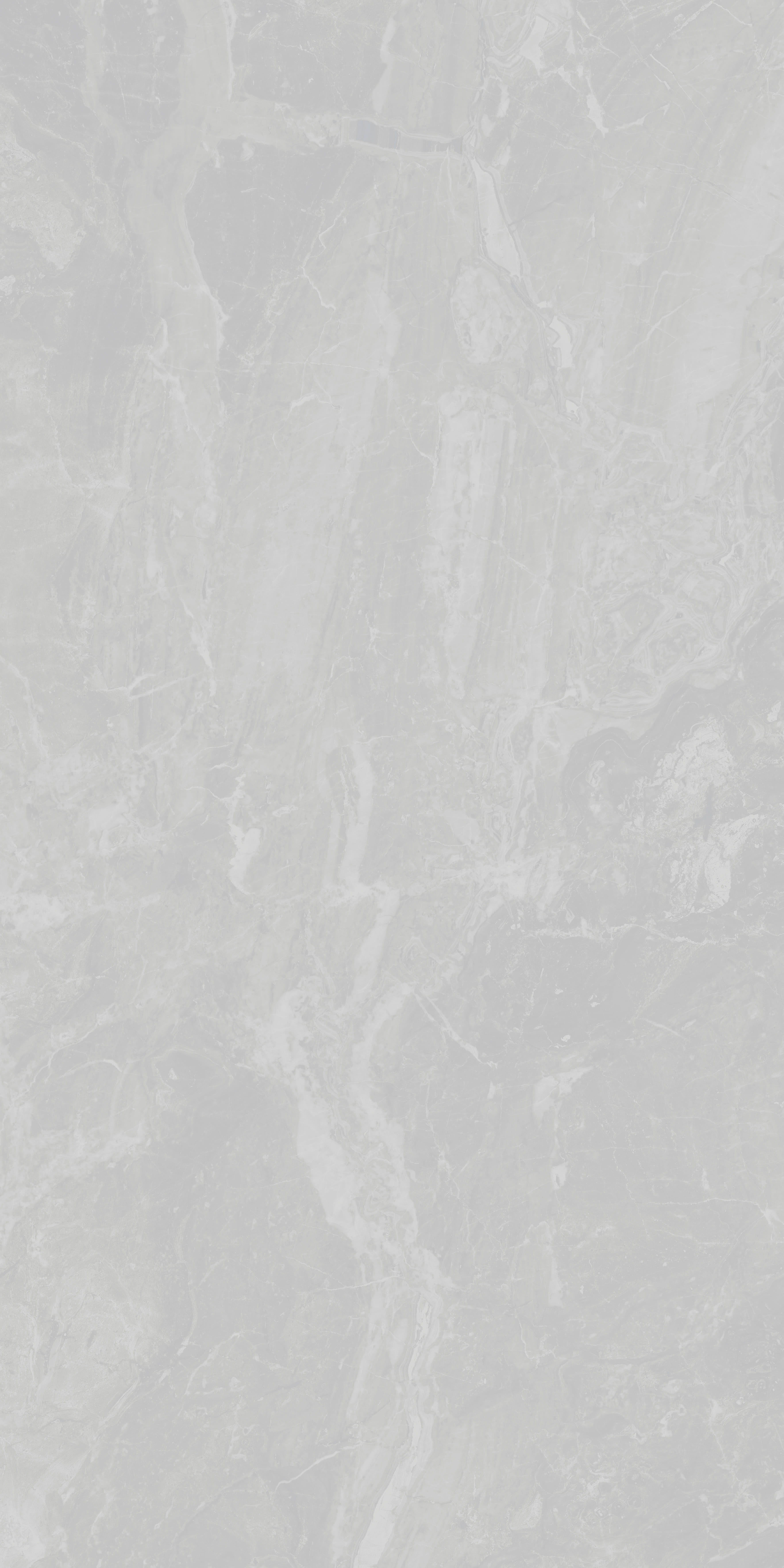 Premium Wood Panel - Oak