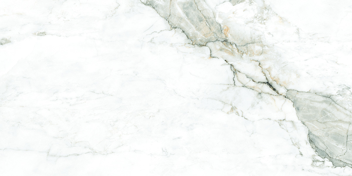 Premium Wood Panel - Oak