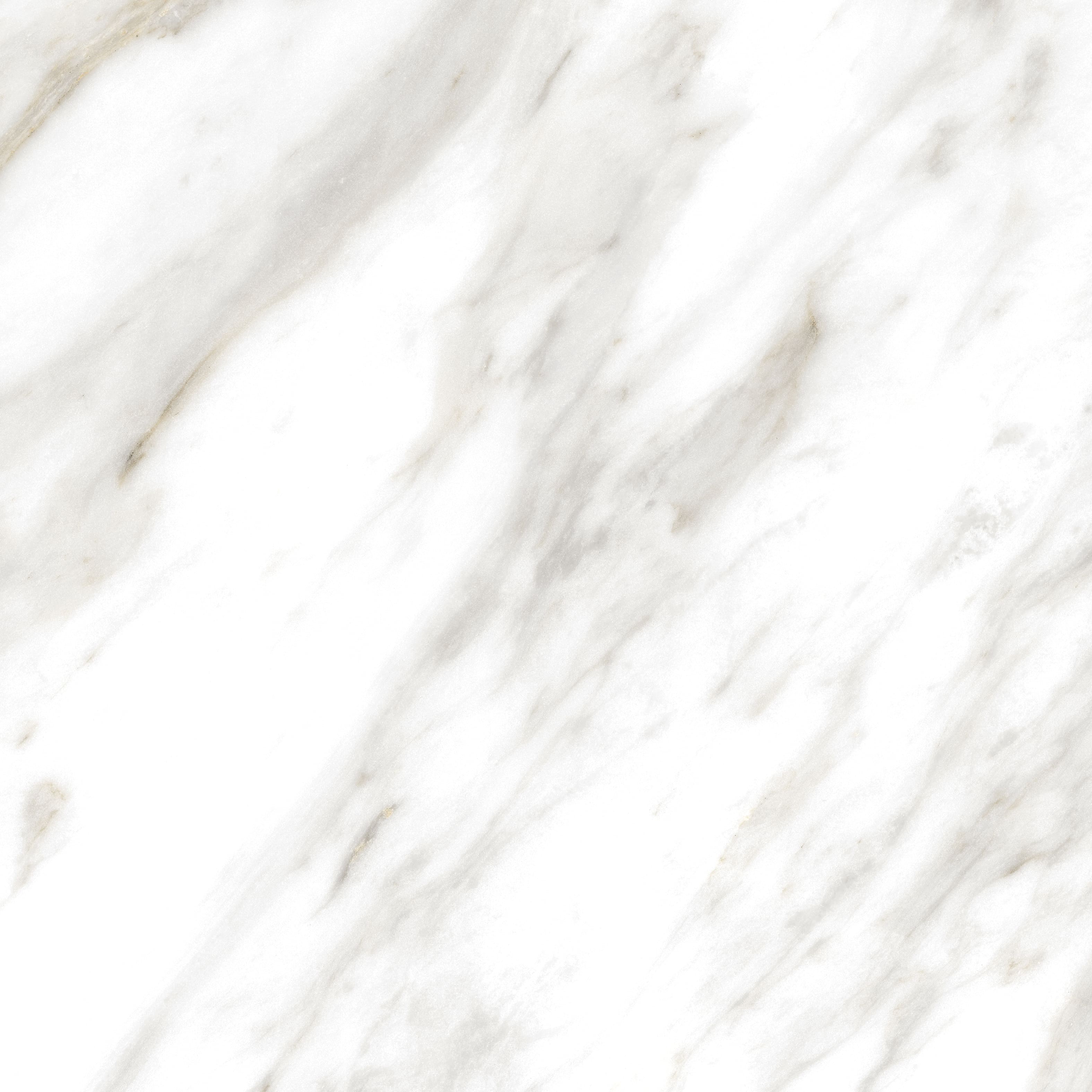 Premium Wood Panel - Oak