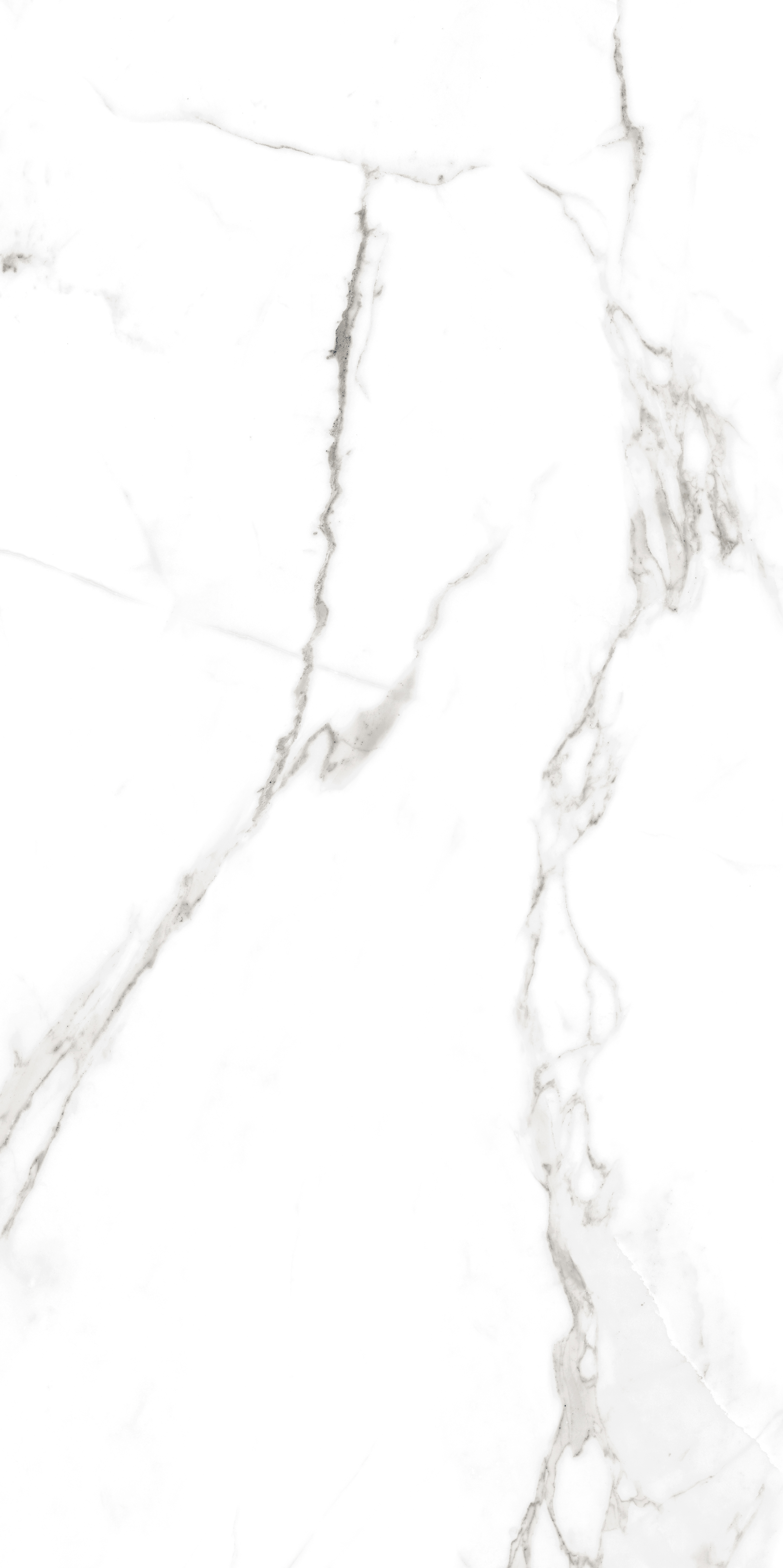 Premium Wood Panel - Oak