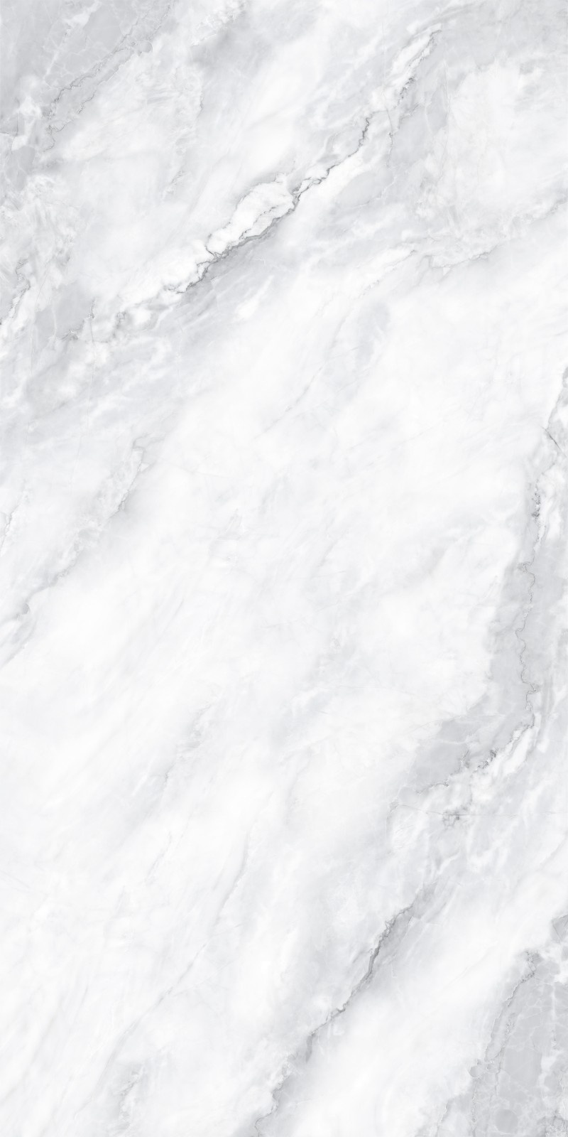 Premium Wood Panel - Oak