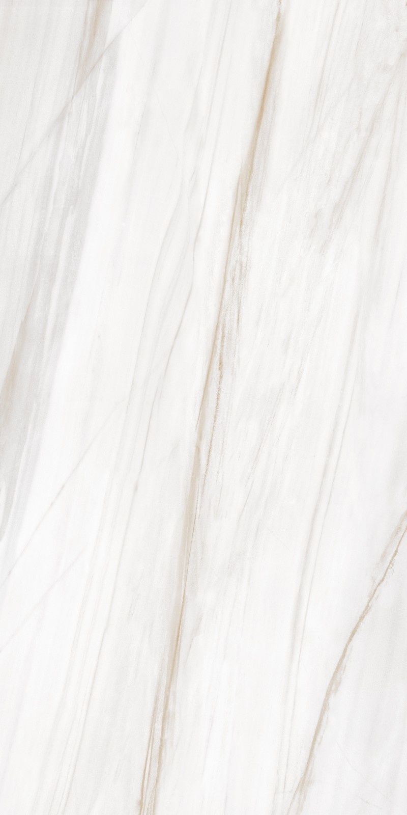 Premium Wood Panel - Oak