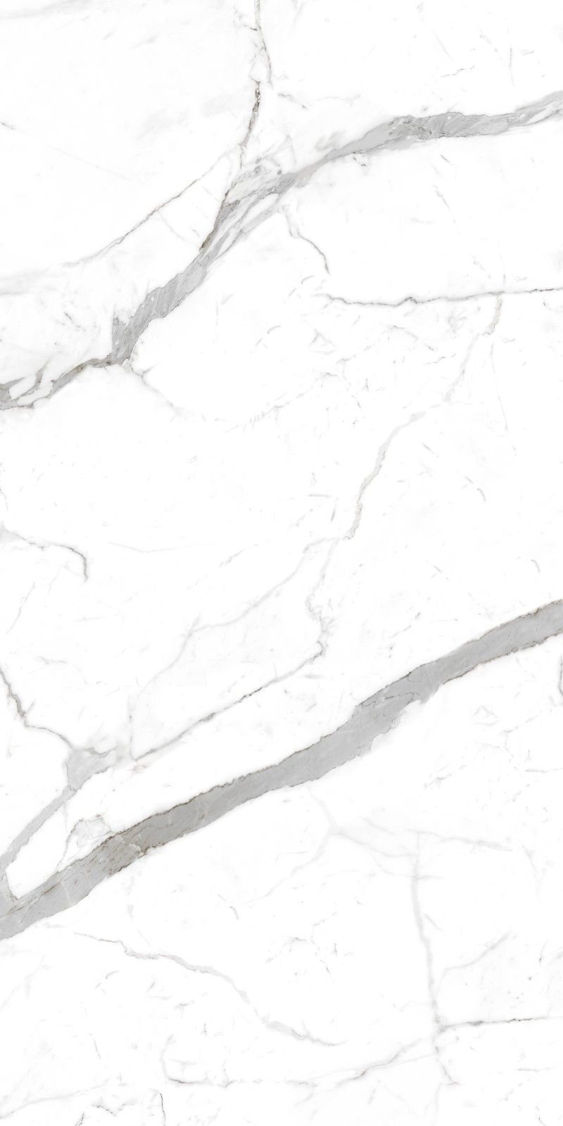 Premium Wood Panel - Oak