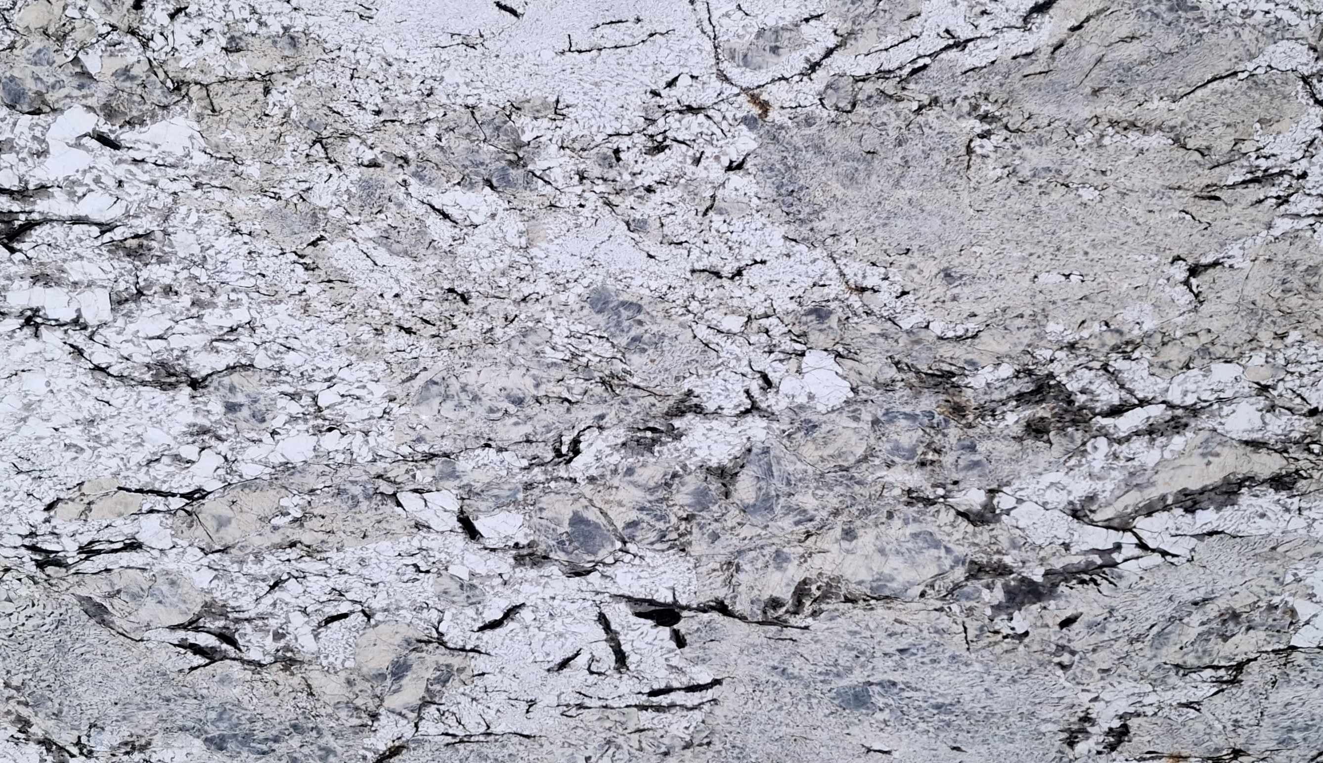 Premium Wood Panel - Oak