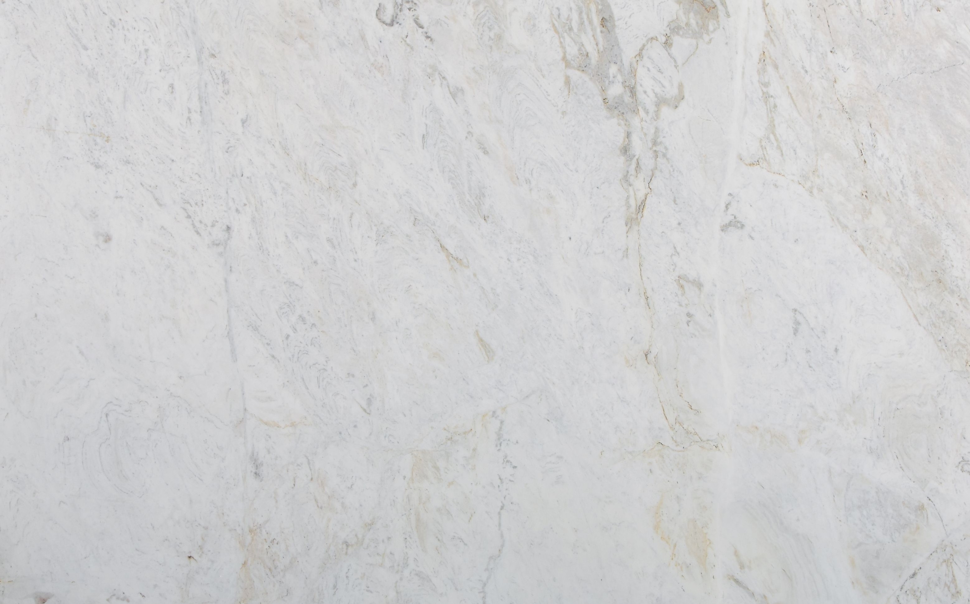 Premium Wood Panel - Oak