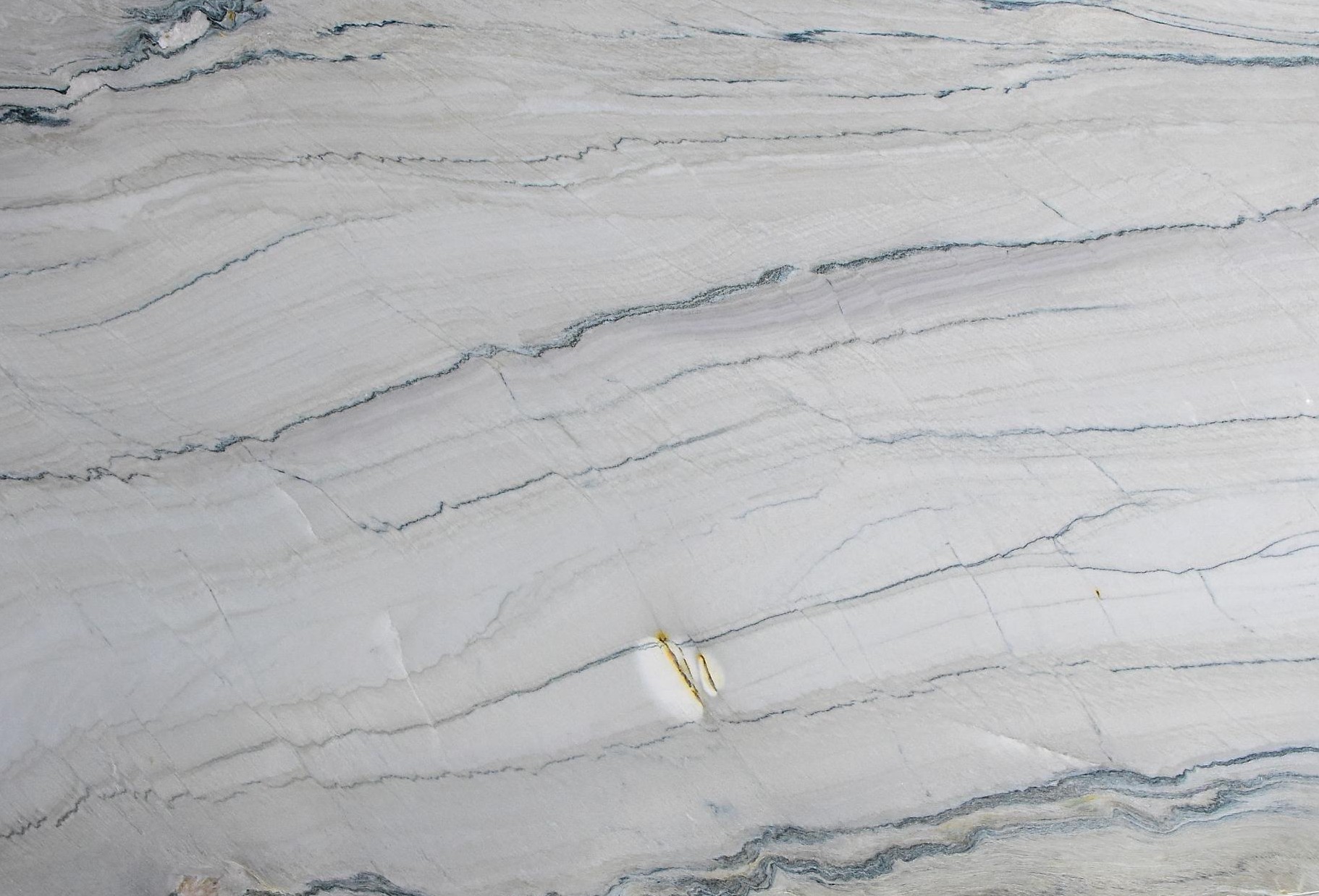 Premium Wood Panel - Oak