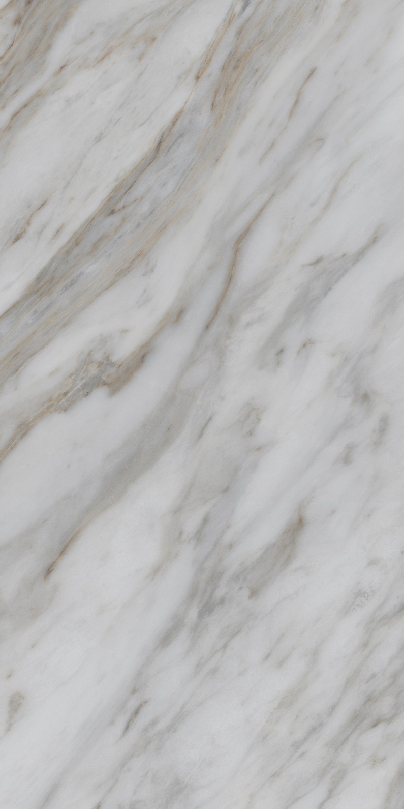 Premium Wood Panel - Oak