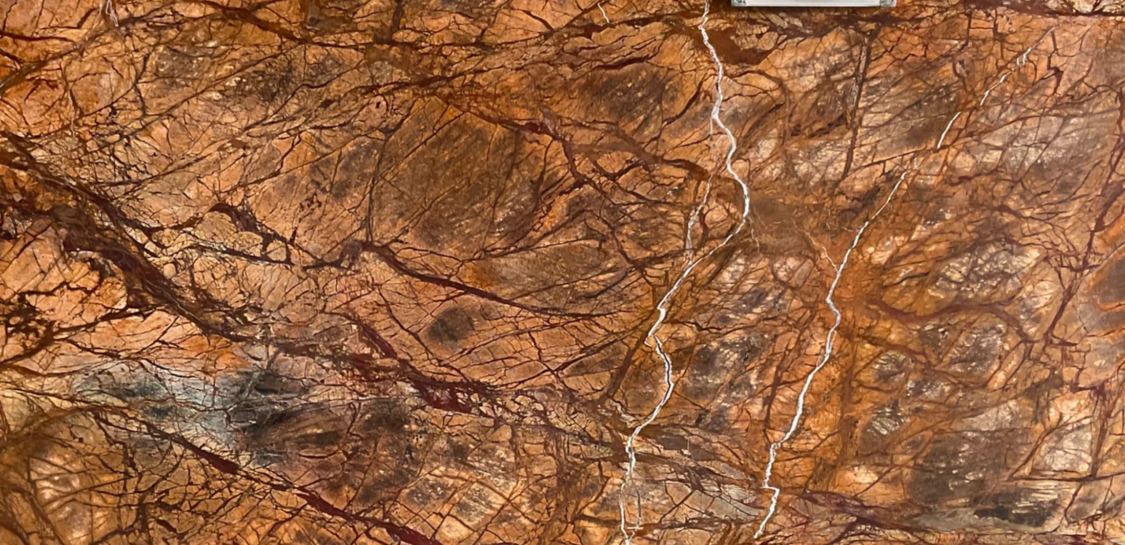Premium Wood Panel - Oak