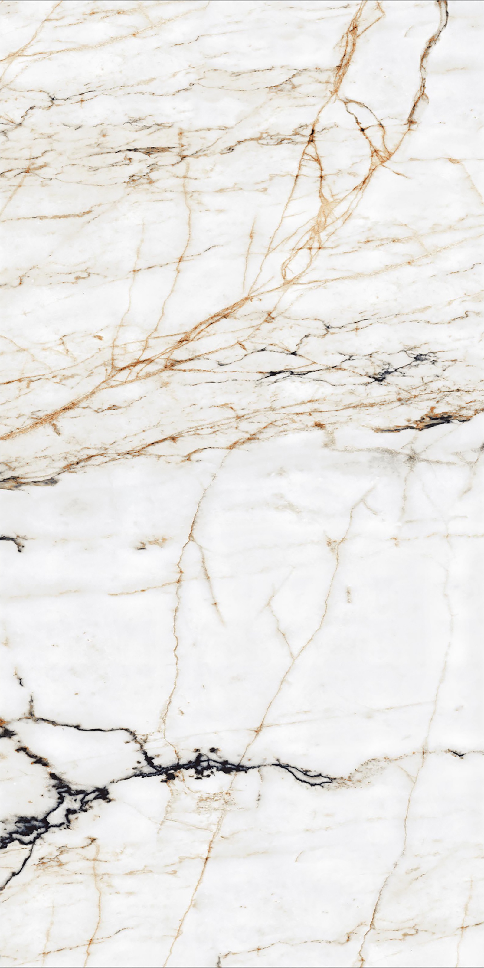Premium Wood Panel - Oak